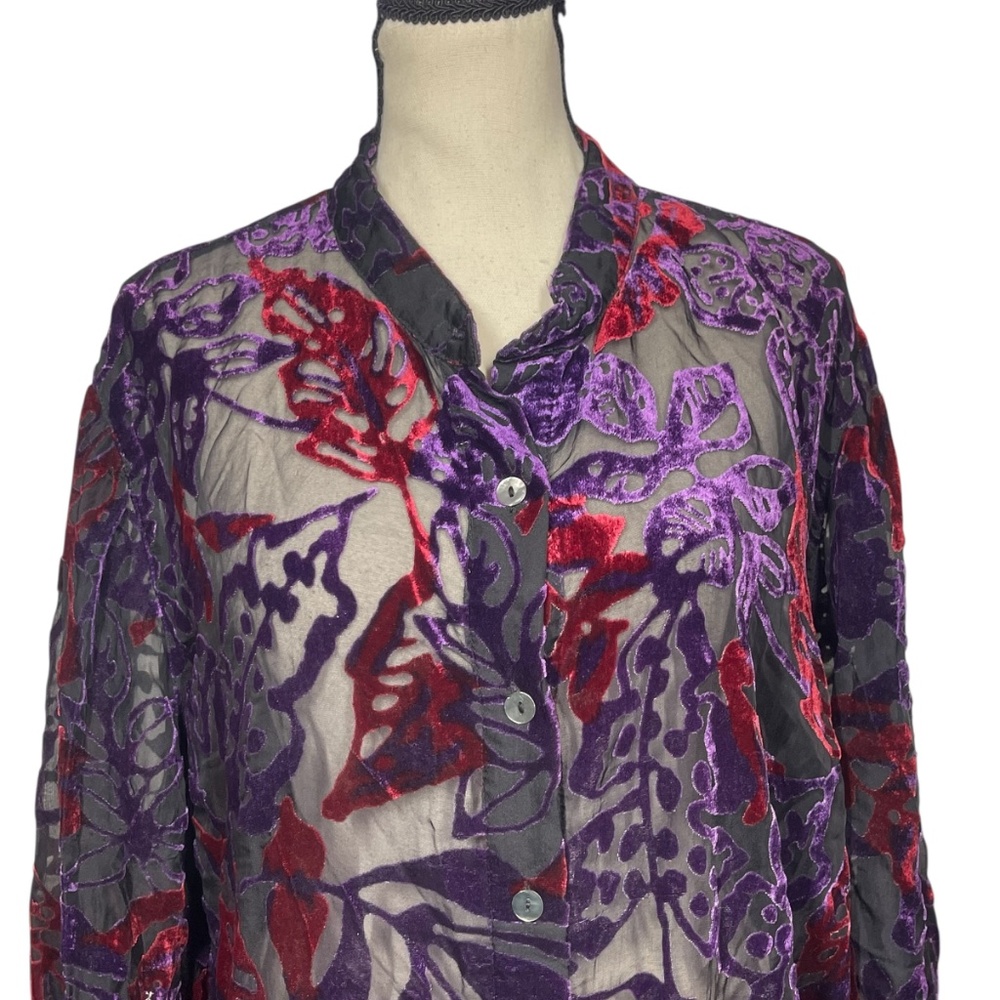 Vintage Sheer/Velvet Blouse - Picture 4 of 4